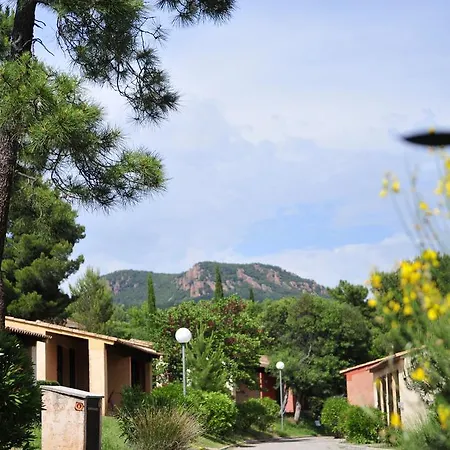 Apartment Locative - Roquebrune-sur-argens *
