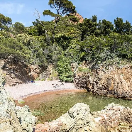 Locative - Roquebrune-sur-argens